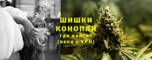 стаф Вяземский