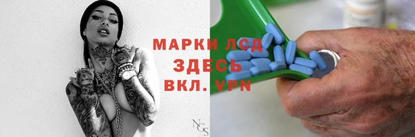 стаф Вяземский