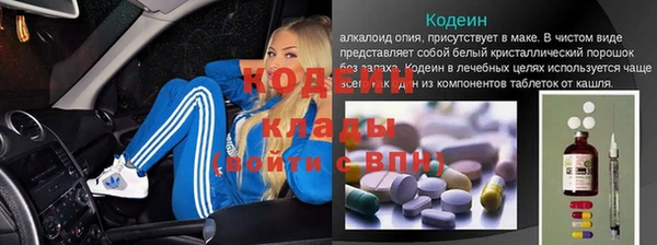 стаф Вяземский